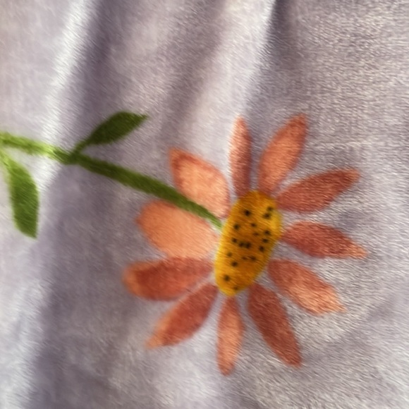 🐥🐣🌷🌷Super soft Rae Dunn Spring themed throw blanket - Picture 4 of 8